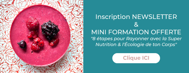 Pop up newsletter et guide offert